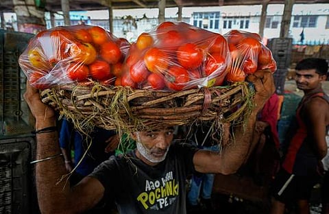 കിലോയ്ക്ക് 40 രൂപ ഉണ്ടായിരുന്ന തക്കാളി വിലയാണ് ഈ മാസം ആദ്യം മുതൽ നൂറിന് മുകളിലെത്തിയത്. വിലയില്‍ ഏകദേശം 300 ശതമാനത്തിന്റെ വര്‍ധനയാണ് ഉണ്ടായത്/ ചിത്രം: പിടിഐ