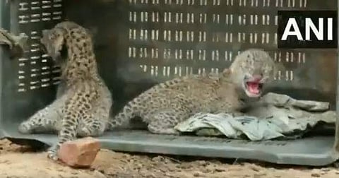 വിഡിയോ സ്ക്രീൻഷോട്ട്