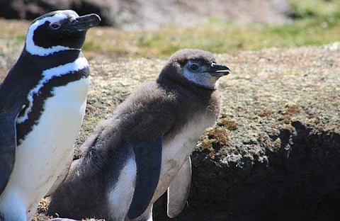 ഫയൽ ചിത്രം