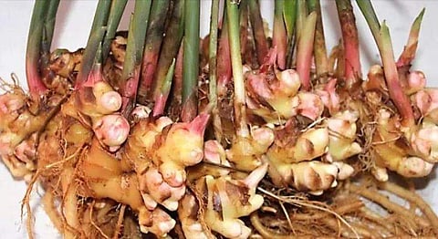 പ്രതീകാത്മക ചിത്രം