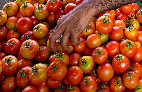 ചിത്രം: പിടിഐ