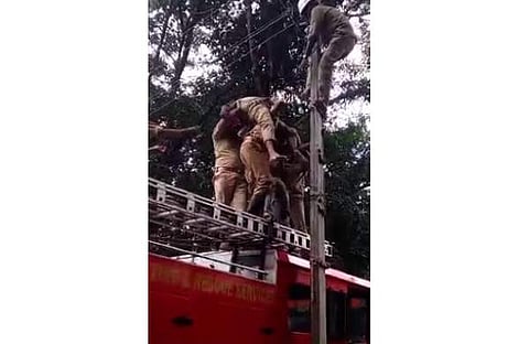 വിനോദിനെ പോസ്റ്റില്‍ നിന്ന് താഴെയിറക്കുന്നു