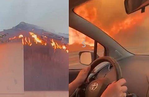 വീഡിയോ സ്‌ക്രീന്‍ഷോട്ട്