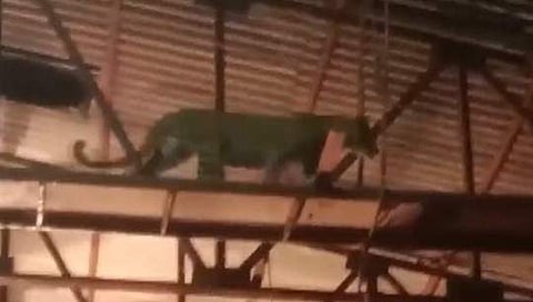 വിഡിയോ സ്ക്രീൻഷോട്ട്