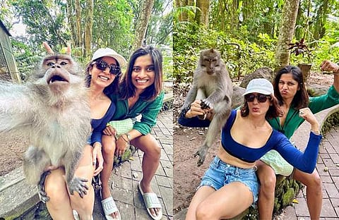 സാമന്ത കുരങ്ങിനൊപ്പം/ ഇൻസ്റ്റ​ഗ്രാം