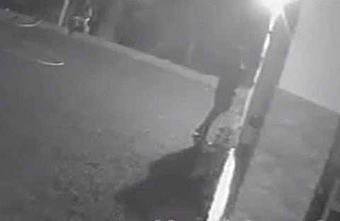 സിസിടിവി ദൃശ്യം