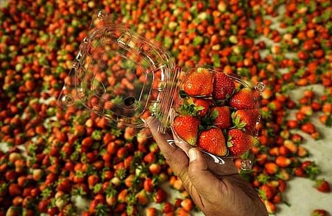 പ്രതീകാത്മക ചിത്രം