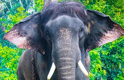 ചിത്രം: ഫേയ്സ്ബുക്ക്