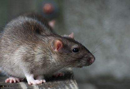 പ്രതീകാത്മക ചിത്രം