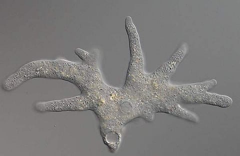 പ്രതീകാത്മക ചിത്രം