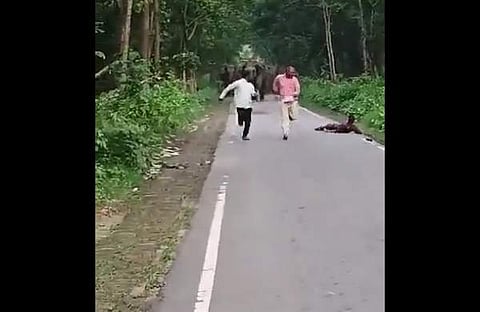 കാട്ടാനക്കൂട്ടത്തിന്റെ ആക്രമണത്തില്‍ നിന്ന് രക്ഷപ്പെടാന്‍ ഓടുന്നതിനിടെ യുവാവ് റോഡില്‍ വീഴുന്ന ദൃശ്യം