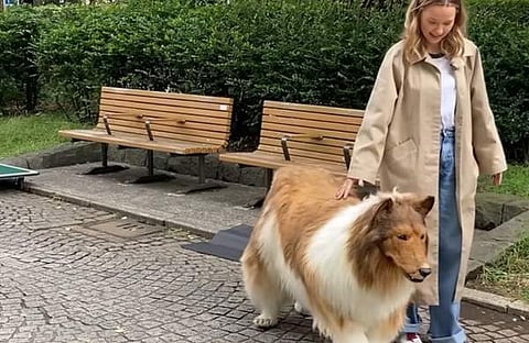 നായയായി വേഷം കെട്ടിയിരിക്കുന്ന യുവാവിന്റെ ദൃശ്യം