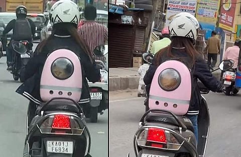 പൂച്ചയെയും ഒപ്പം കൂട്ടി യുവതി/ എക്‌സ്