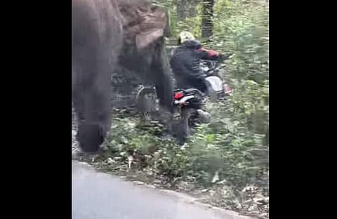 ബൈക്കിന് പിന്നാലെ പാഞ്ഞടുക്കുന്ന കാട്ടാനയുടെ ദൃശ്യം