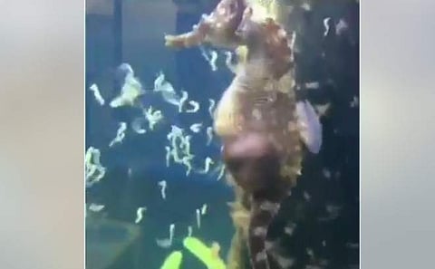 പ്രതീകാത്മക ചിത്രം