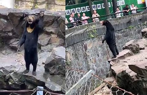 വീഡിയോ ദൃശ്യത്തിൽ നിന്ന്