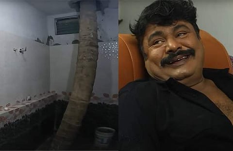 മൻസൂർ അലി ഖാന്റെ വീടിനുള്ളിൽ വളരുന്ന തെങ്ങ്/ വിഡിയോ സ്ക്രീൻഷോട്ട്