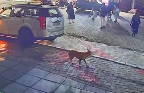 തിരുവല്ലയിലുണ്ടായ അടിപിടി/ സിസിടിവി ദൃശ്യം