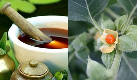 പ്രതീകാത്മക ചിത്രം