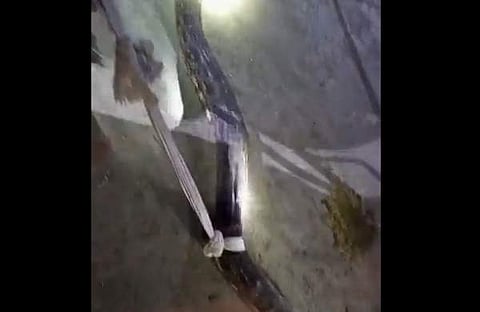 മോട്ടോര്‍ സൈക്കിളില്‍ പെരുമ്പാമ്പിനെ കെട്ടിവലിക്കുന്ന ദൃശ്യം