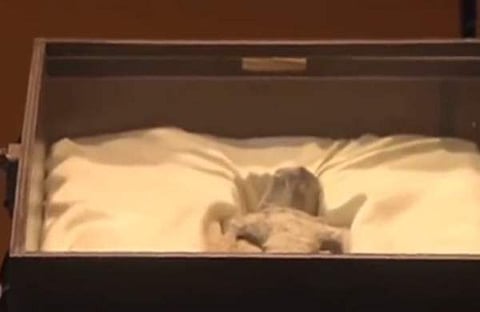 മെക്‌സിക്കോ പാര്‍ലമെന്റില്‍ അനാവരണം ചെയ്ത മൃതദേഹാവിശിഷ്ടങ്ങളുടെ ദൃശ്യം, എക്‌സ്