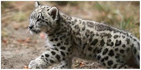 പ്രതീകാത്മക ചിത്രം