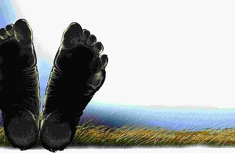 എക്‌സ്പ്രസ് ഇലസ്‌ട്രേഷന്‍