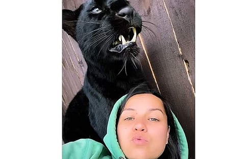 കരിമ്പുലിക്കൊപ്പം യുവതി