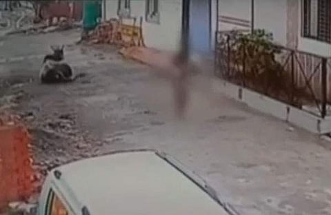 വീഡിയോ ദൃശ്യം