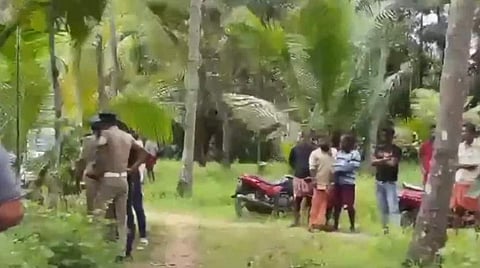 വീഡിയോ സ്‌ക്രീന്‍ഷോട്ട്