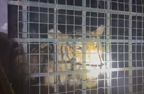 ടെലിവിഷൻ ദൃശ്യം