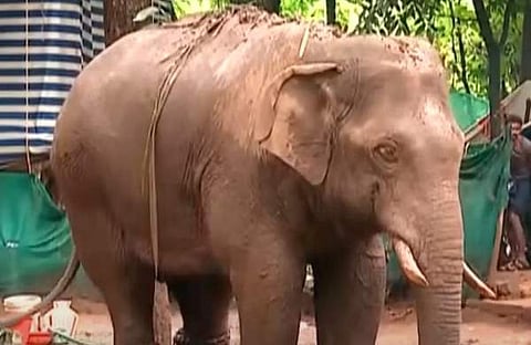 പിടി 7 നെ കൂടിന് പുറത്തിറക്കി/ ടെലിവിഷൻ സ്ക്രീൻഷോട്ട്