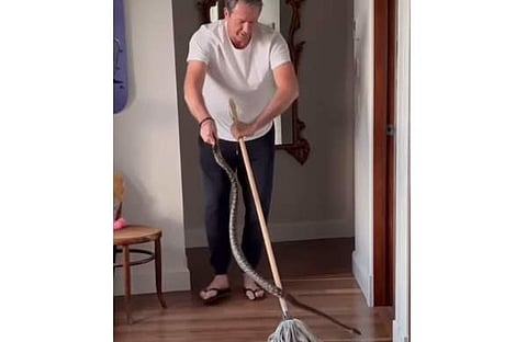 പെരുമ്പാമ്പിനെ പിടികൂടുന്ന മഗ്രാത്തിന്റെ ദൃശ്യം