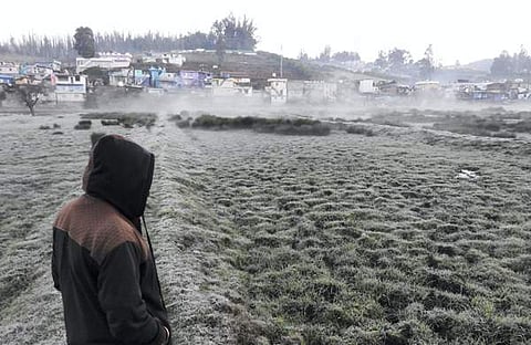 ഊട്ടിയിലെ മഞ്ഞുവീഴ്ചയുടെ ദൃശ്യം, പിടിഐ