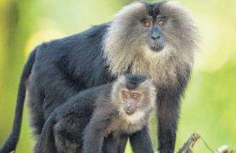 പ്രതീകാത്മക ചിത്രം