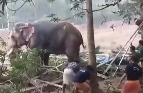 കോഴിക്കോട് കൊയിലാണ്ടിയില്‍ ഉത്സവത്തിനിടെ ആന ഇടഞ്ഞപ്പോള്‍ /സ്‌ക്രീന്‍ ഷോട്ട്‌