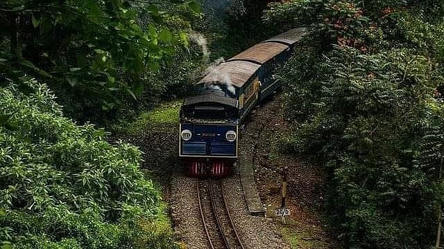 പോത്ത് വട്ടംചാടി, ഊട്ടിയിലെ ടോയ് ട്രെയിന്‍ പാളം തെറ്റി; യാത്രക്കാര്‍ സുരക്ഷിതര്‍   