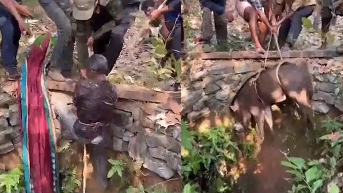 വേട്ടക്കാരനെ കുത്തി കിണറ്റിലിട്ട് കാട്ടുപന്നി, പിന്നാലെ ചാടിയും ആക്രമണം, വെടിവെച്ചു കൊന്നു