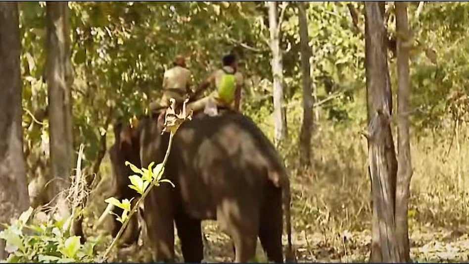 മാനന്തവാടിയിലിറങ്ങിയ ആനയെ മയക്കുവെടിവെക്കാനുള്ള ദൗത്യം വൈകും