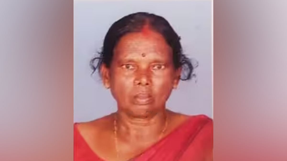 വീട്ടമ്മയുടെ കാല്‍ കടിച്ചുമുറിച്ചു; കാട്ടുപന്നികളെ വെടിവെച്ചു കൊന്ന് വനം വകുപ്പ്