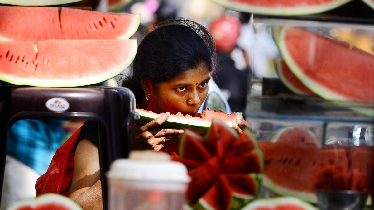 തണ്ണിമത്തൻ കഴിക്കുമ്പോൾ ഇനി കുരു തുപ്പിക്കളയരുത്; വറുത്തു കഴിക്കാം, ​ഗുണങ്ങൾ ഏറെ