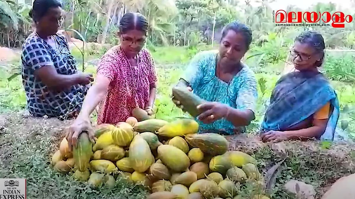 വിഷു സദ്യ വിഷരഹിത പച്ചക്കറി കൊണ്ട്, മാതൃകയായി വടക്കുമ്പാട് ഗ്രാമം
