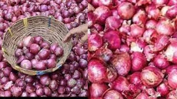 ലഭ്യത കൂടി, ആറ് രാജ്യങ്ങളിലേയ്ക്ക് സവാള കയറ്റുമതി ചെയ്യാന്‍ അനുമതി