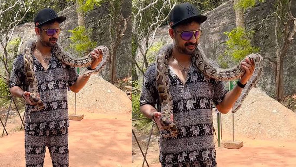 'ദേ രണ്ട് പഹയന്‍മാര്‍'; പെരുമ്പാമ്പിനൊപ്പം പോസ് ചെയ്യുന്ന വിഡിയോ
പങ്കിട്ട് ടൊവിനോ, ട്രോളുമായി ആരാധകര്‍