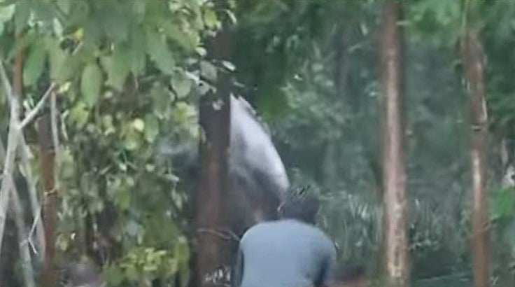 16 മണിക്കൂര് നീണ്ട രക്ഷാപ്രവര്ത്തനം; കിണറ്റില് വീണ കാട്ടാനയെ രക്ഷിച്ചു; മയക്കുവെടി വയ്ക്കാത്തതില് പ്രതിഷേധം