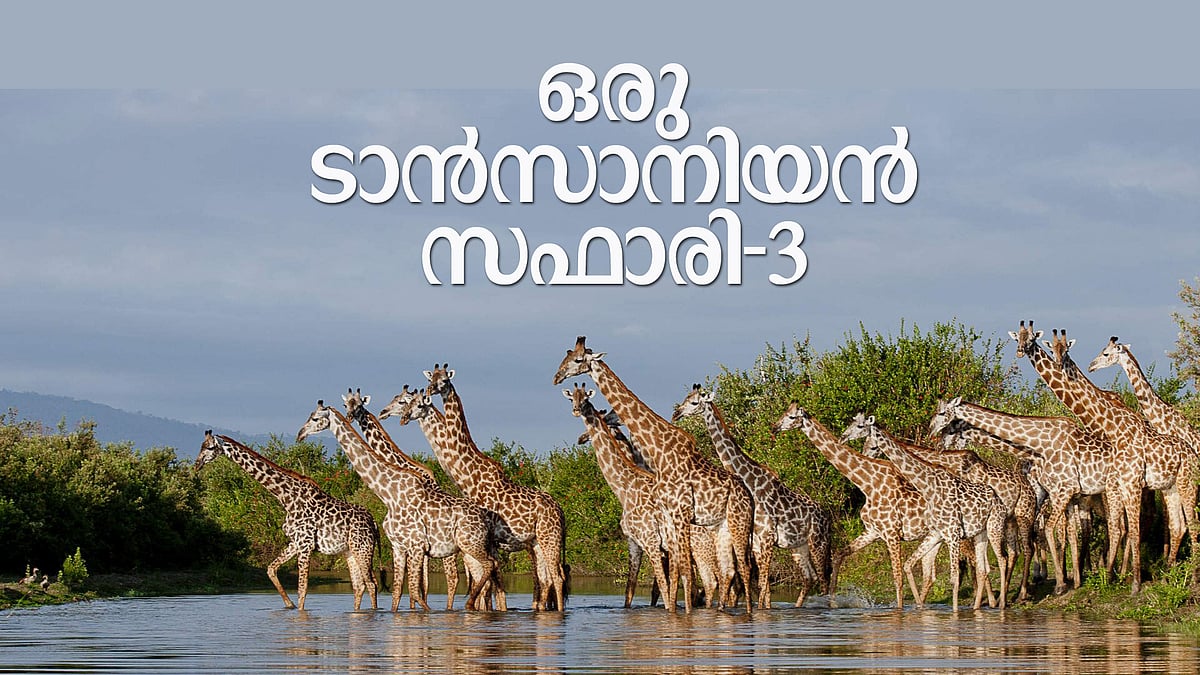 വിതയ്‌ക്കേണ്ട, കൊയ്യേണ്ട, കളപ്പുരകള്‍ നിറയ്‌ക്കേണ്ട; നീന്തടാ, നീന്ത്