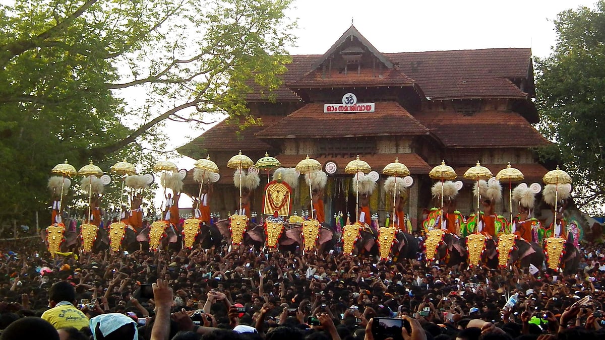തൃശൂർ‌ പൂരം: ആനകളുടെ സുരക്ഷയ്ക്ക് കൂടുതൽ ക്രമീകരണം, പ്രത്യേക പരിശീലനം ലഭിച്ച വൊളന്റിയർമാർ