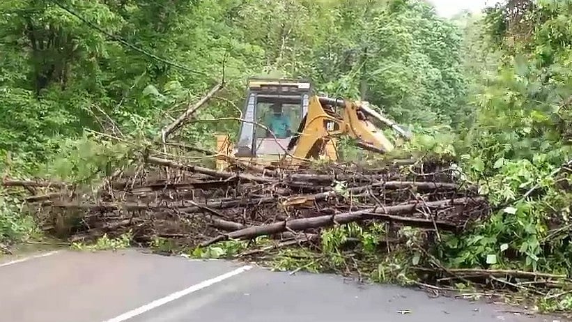 കനത്ത മഴ തുടരുന്നു; അതിരപ്പിള്ളിയിൽ റോഡിന് കുറുകെ മുളങ്കൂട്ടം കടപുഴകി വീണു ​ഗതാ​ഗതം തടസ്സപ്പെട്ടു