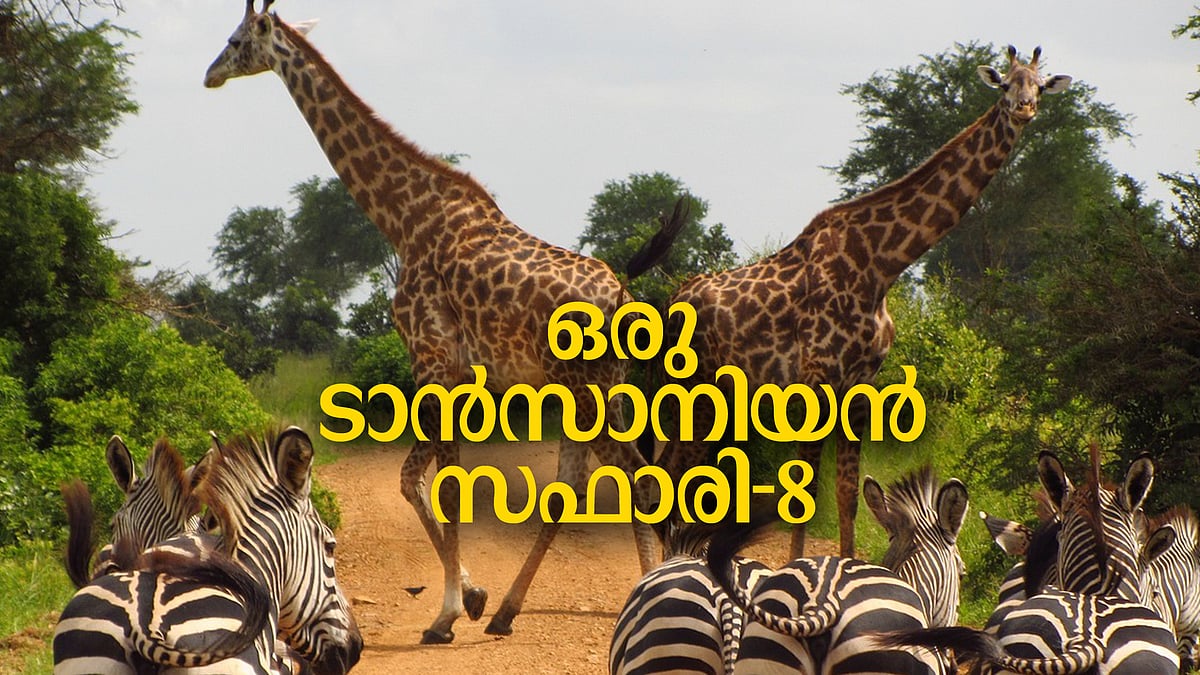 ''ഞങ്ങളങ്ങനെ കാടിന്റെ മണം പിടിച്ചിരുന്നു; പിന്നെ നക്ഷത്രങ്ങളെ എണ്ണിയെണ്ണി ഉറക്കത്തിലേക്കിറങ്ങിപ്പോയി''