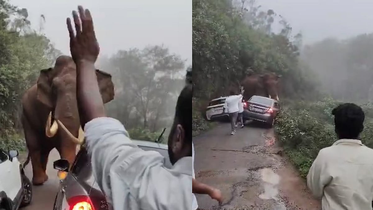 മൂന്നാറില്‍ യാത്രക്കാര്‍ക്ക് നേരെ പാഞ്ഞടുത്ത് പടയപ്പ; വൈദികനടക്കം രക്ഷപ്പെട്ടത് തലനാരിഴയ്ക്ക്, വിഡിയോ 